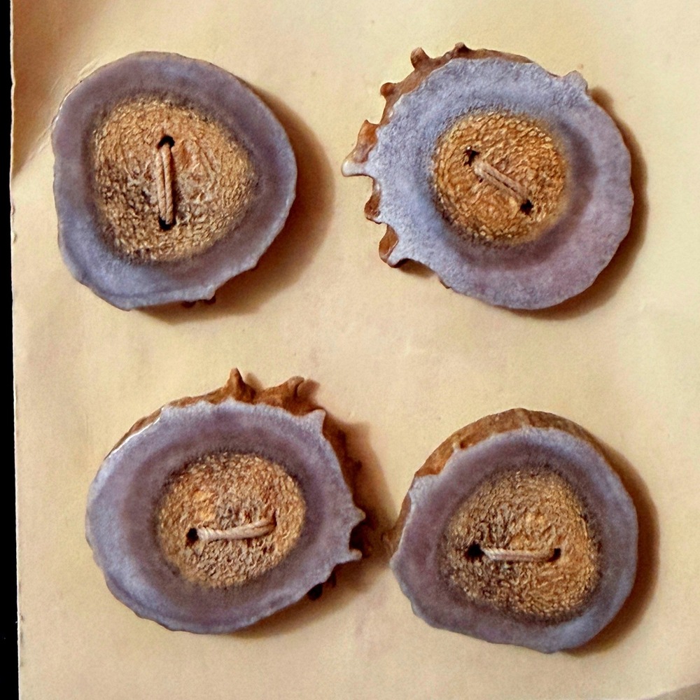Wildlife Creations Kevin Juby Antler Buttons Set of 4 Handmade Casper Wyoming